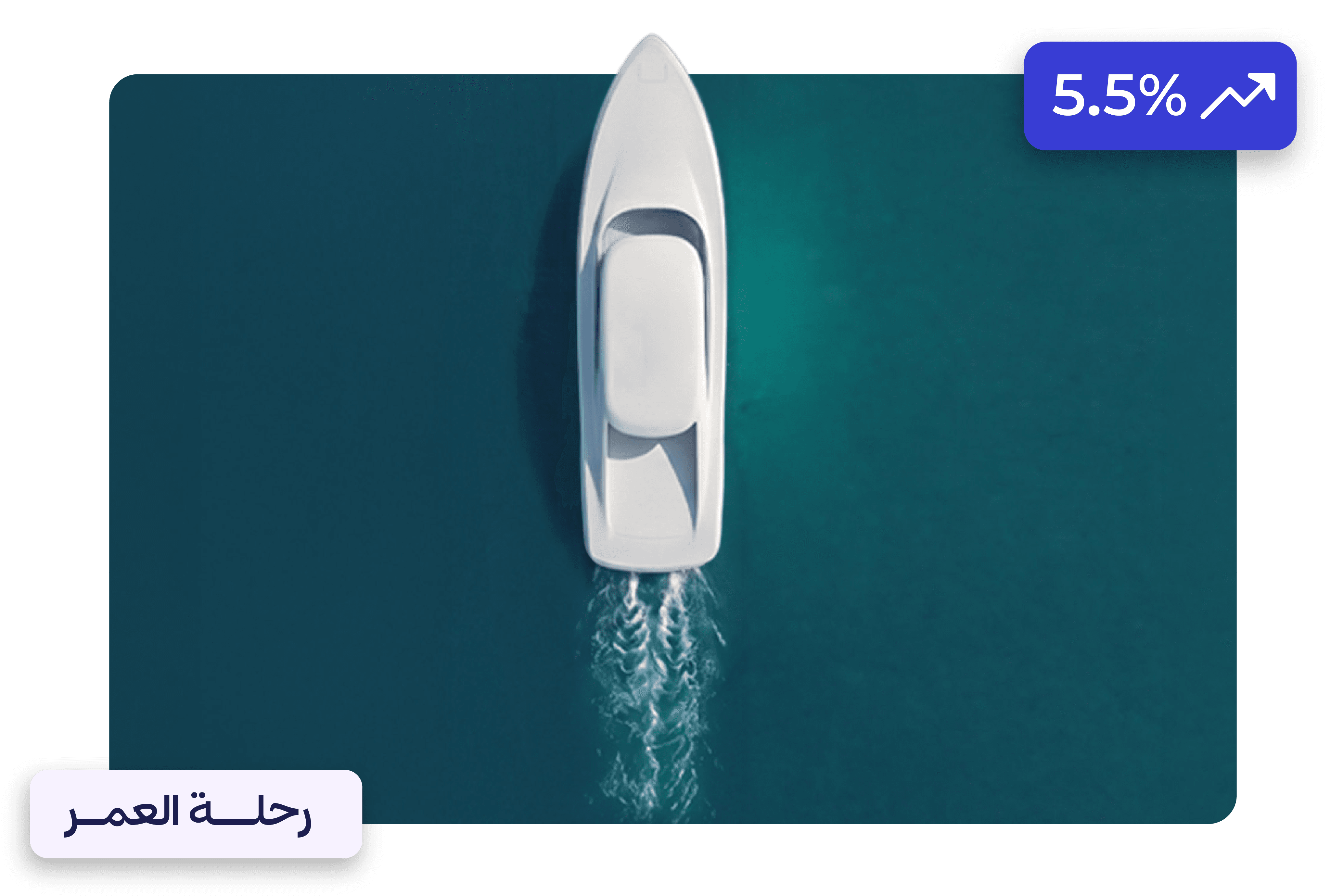 web banner V5_Artboard 3 copy 11.png